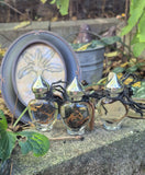 Mandrake Root Specimen ~ Mandragora Root 2