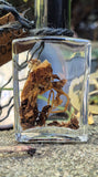 Mandrake Root Specimen ~ Mandragora Root 1