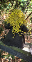 The 'Spell Caster' Original Folk Faeries ~ Spiritual Companion