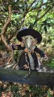 The 'Toad Witch' Original Folk Faeries ~ Spiritual Companion