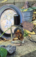 Mandrake Root Specimen ~ Mandragora Root 1