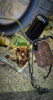 Mandrake Root Specimen ~ Mandragora Root 1