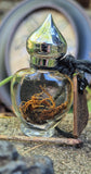 Mandrake Root Specimen ~ Mandragora Root 2