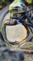 Mandrake Root Specimen ~ Mandragora Root 4