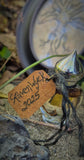 Mandrake Root Specimen ~ Mandragora Root 3