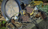 Mandrake Root Specimen ~ Mandragora Root 3