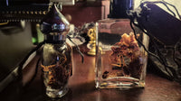 Mandrake Root Specimen ~ Mandragora Root 2