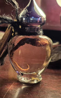 Mandrake Root Specimen ~ Mandragora Root 4